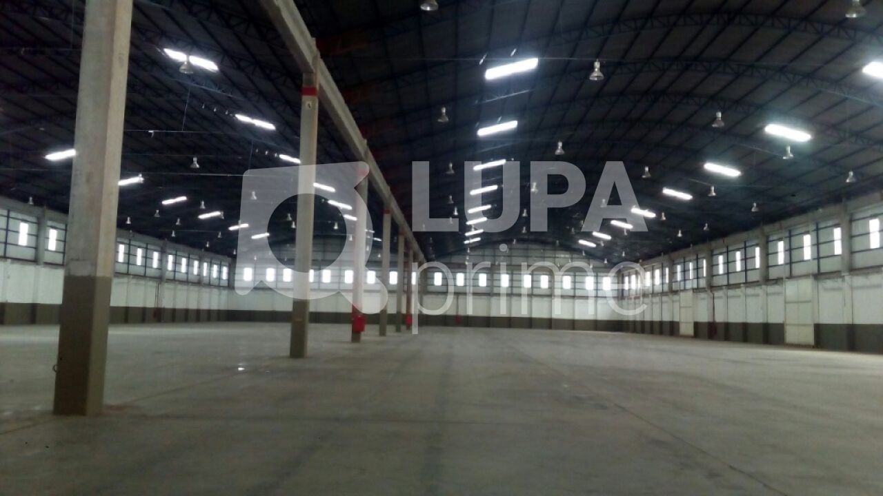 Depósito-Galpão, 10600 m² - Foto 3