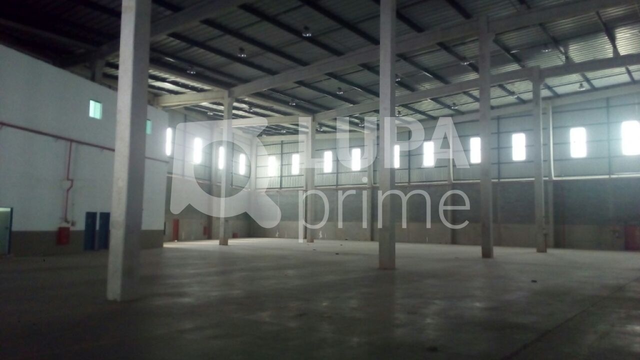Depósito-Galpão, 6580 m² - Foto 5