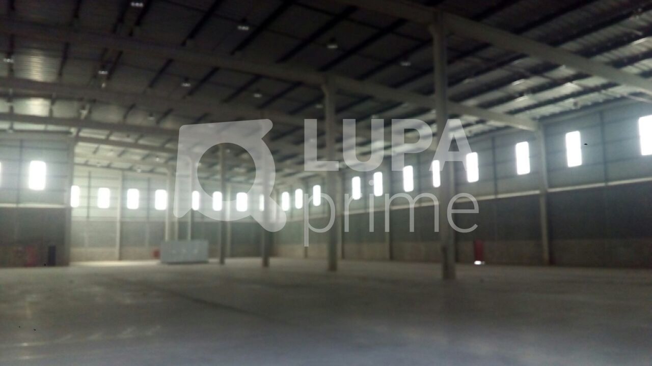 Depósito-Galpão, 6580 m² - Foto 6