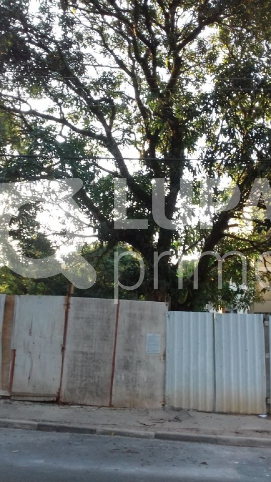 terreno-venda-sao-paulo-tucuruvi-340m2-LS19940