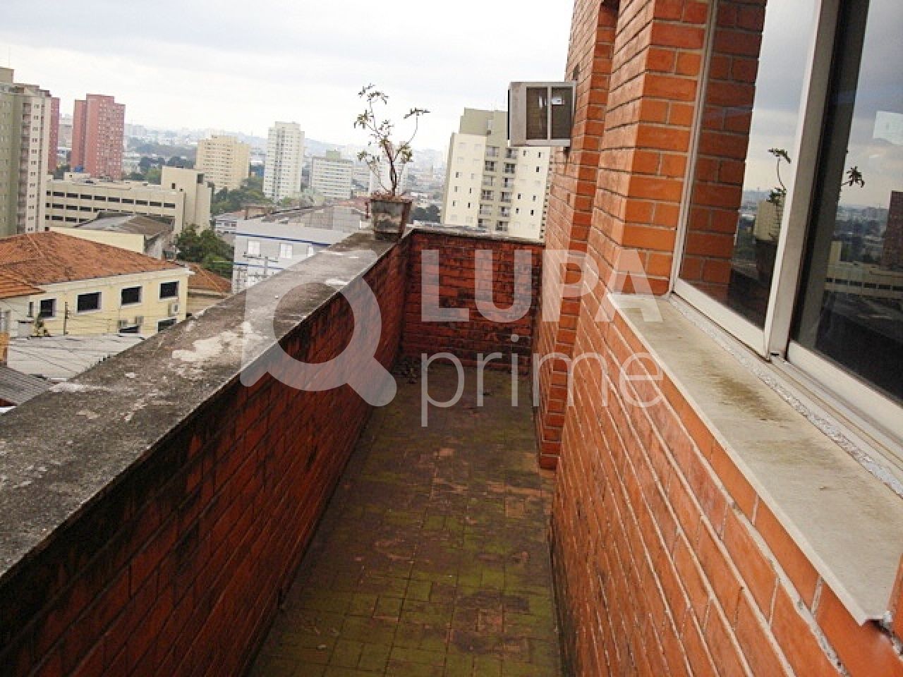 galpao-venda-sao-paulo-casa-verde-10vagas-2600m2-LS20043