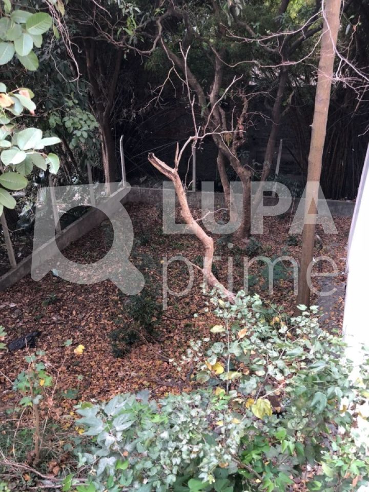 terreno-venda-sao-paulo-santana-LS20368