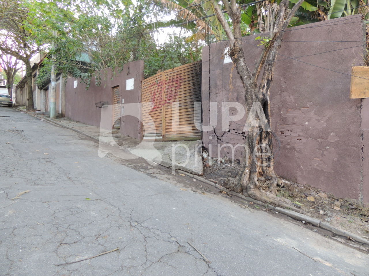 terreno-venda-sao-paulo-tremembe-LS20679