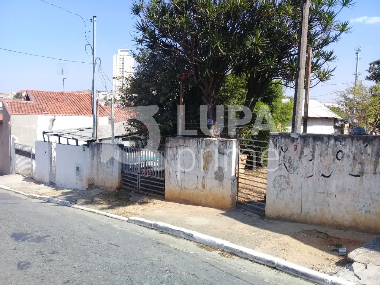 terreno-venda-sao-paulo-vila-paulistana-LS20858