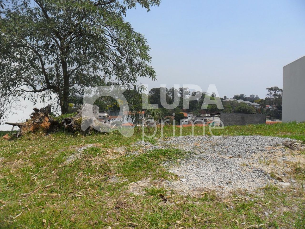 terreno-venda-sao-paulo-horto-florestal-LS2088