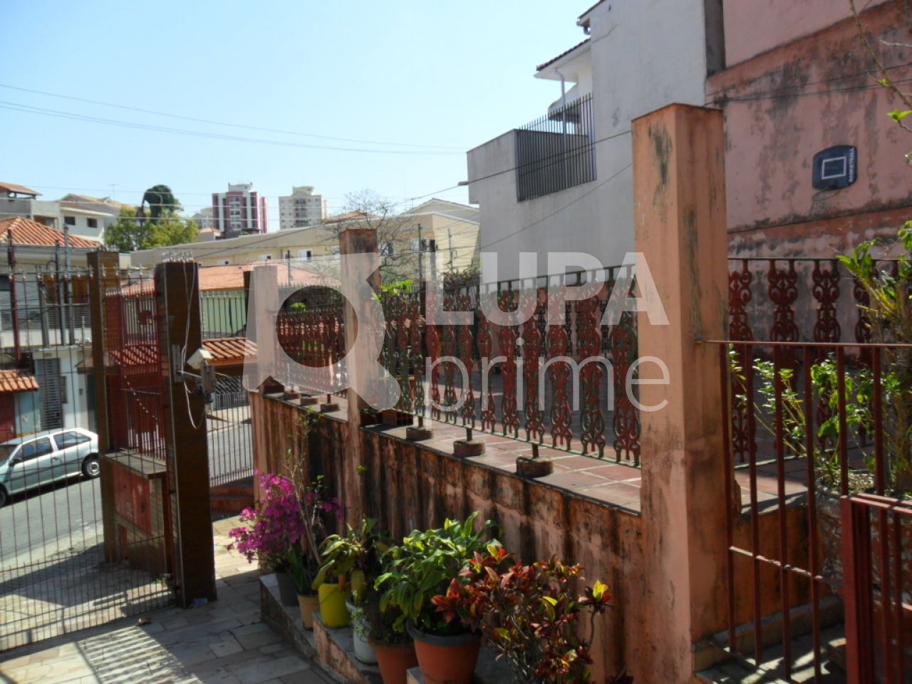 terreno-venda-sao-paulo-jardim-paraiso-430m2-LS20886