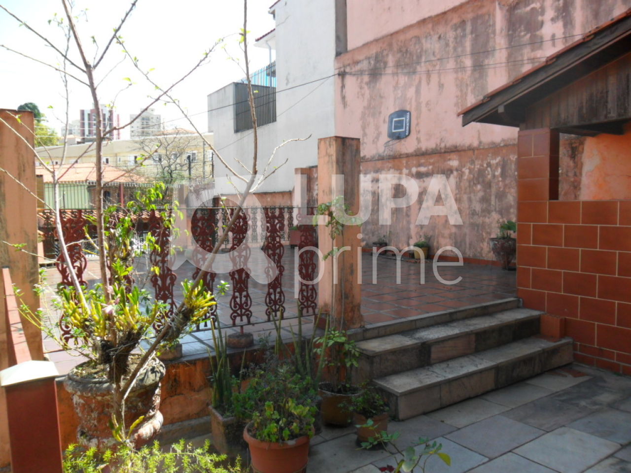 terreno-venda-sao-paulo-jardim-paraiso-430m2-LS20886