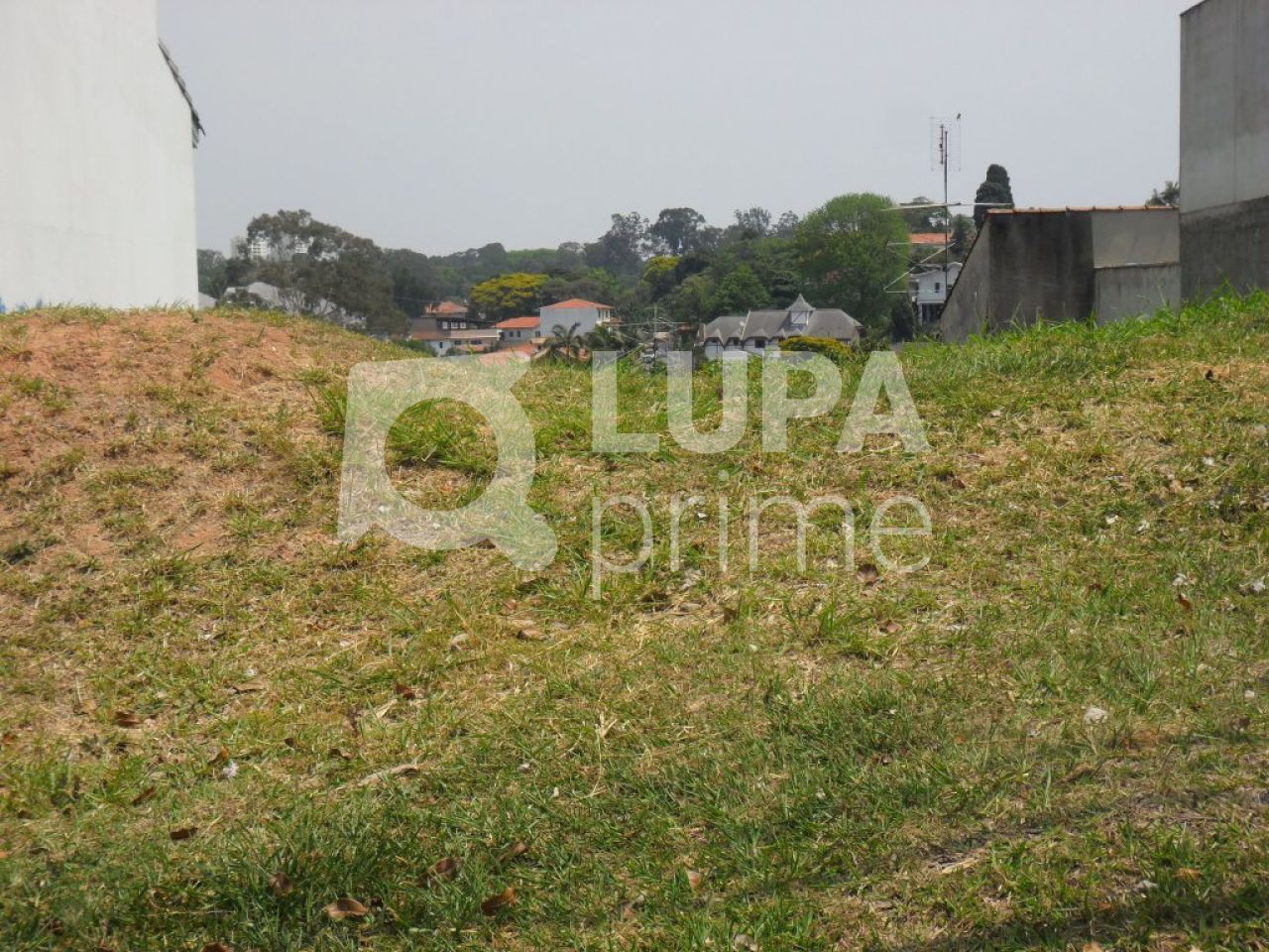 terreno-venda-sao-paulo-horto-florestal-LS2094