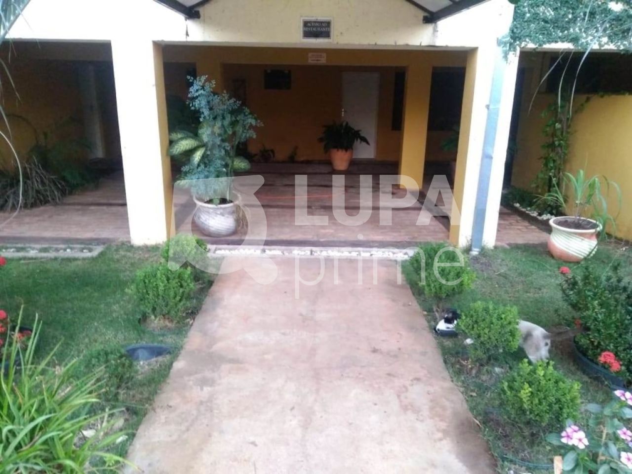 Terreno, 1000 m² - Foto 2