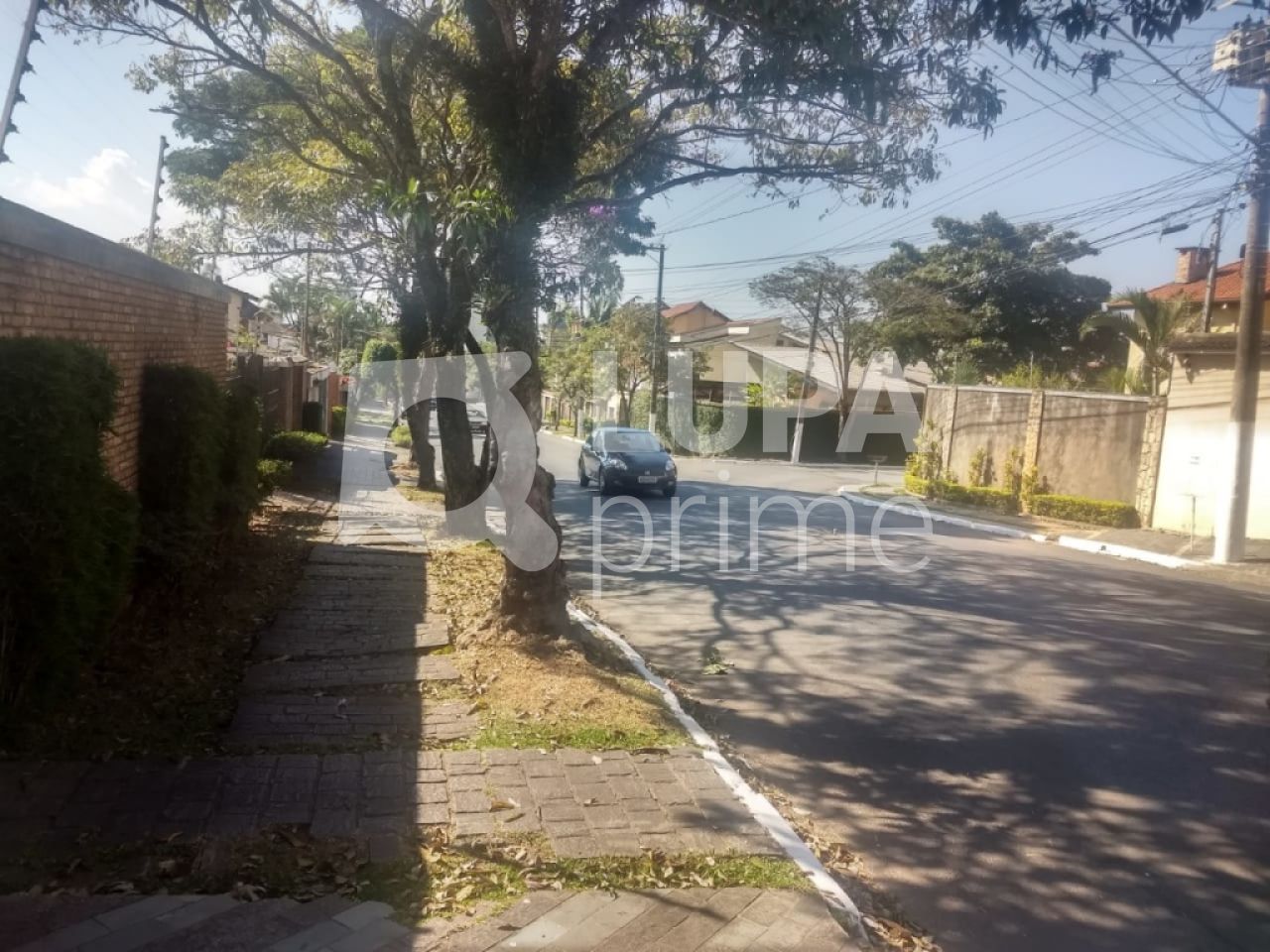 terreno-venda-sao-paulo-tucuruvi-360m2-LS21231