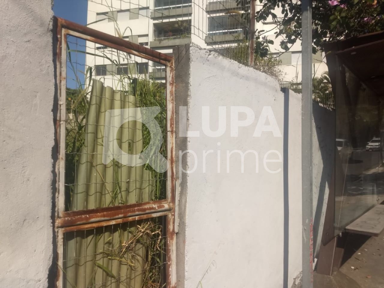 terreno-venda-sao-paulo-tucuruvi-360m2-LS21231