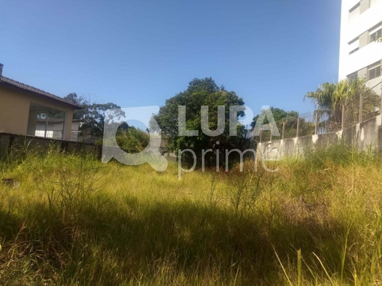 terreno-venda-sao-paulo-tucuruvi-360m2-LS21231