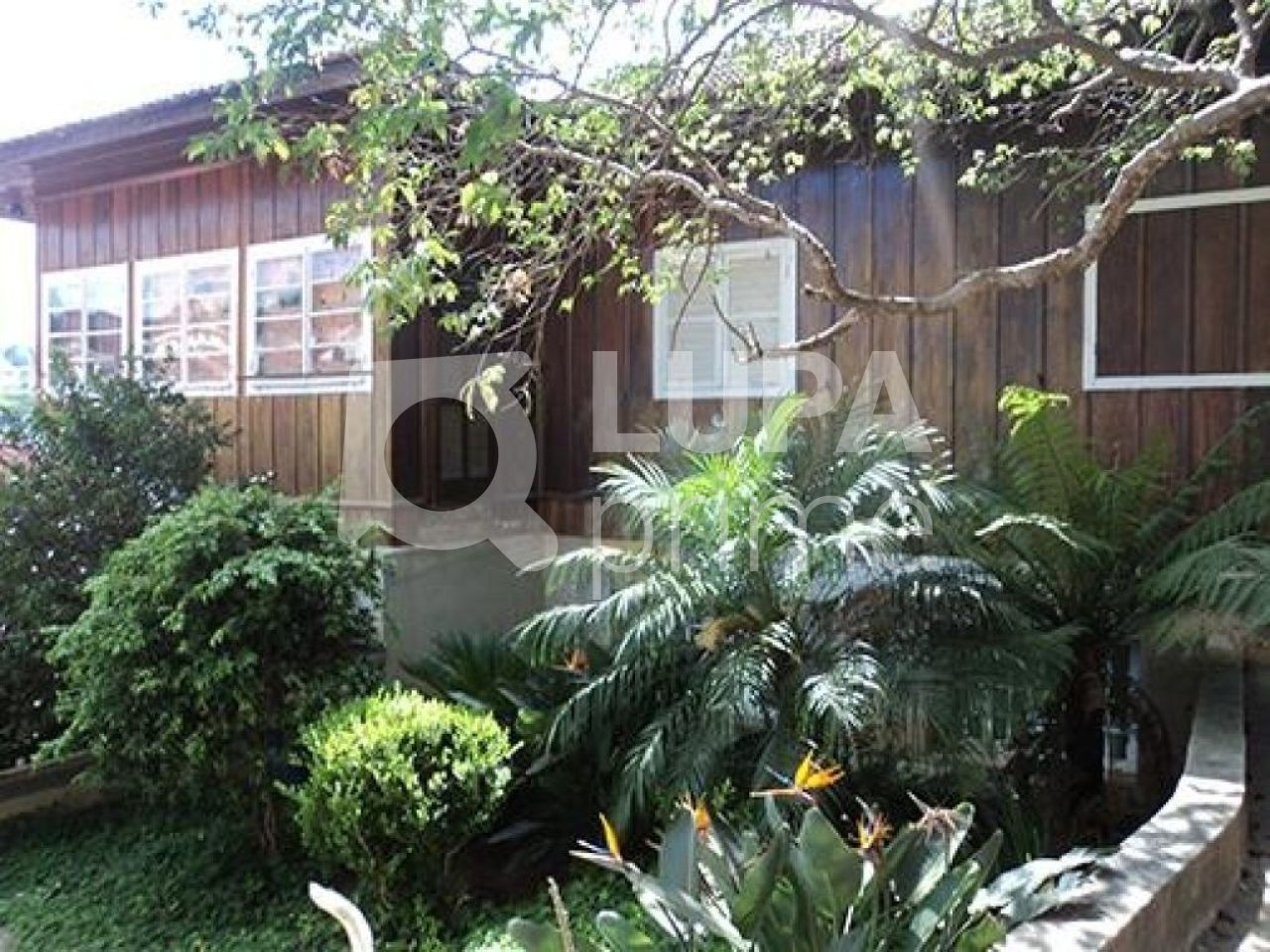 terreno-venda-sao-paulo-horto-florestal-1176m2-LS21281