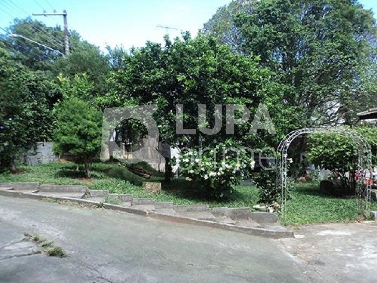 terreno-venda-sao-paulo-horto-florestal-1176m2-LS21281