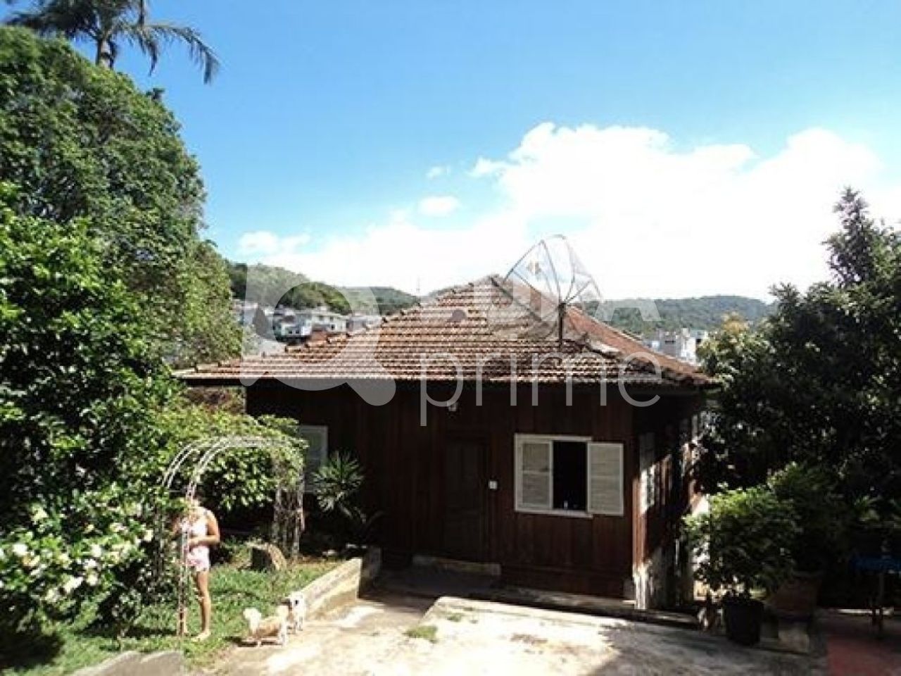 terreno-venda-sao-paulo-horto-florestal-1176m2-LS21281