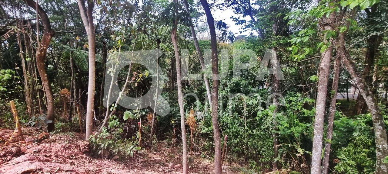 Terreno, 9825 m² - Foto 6