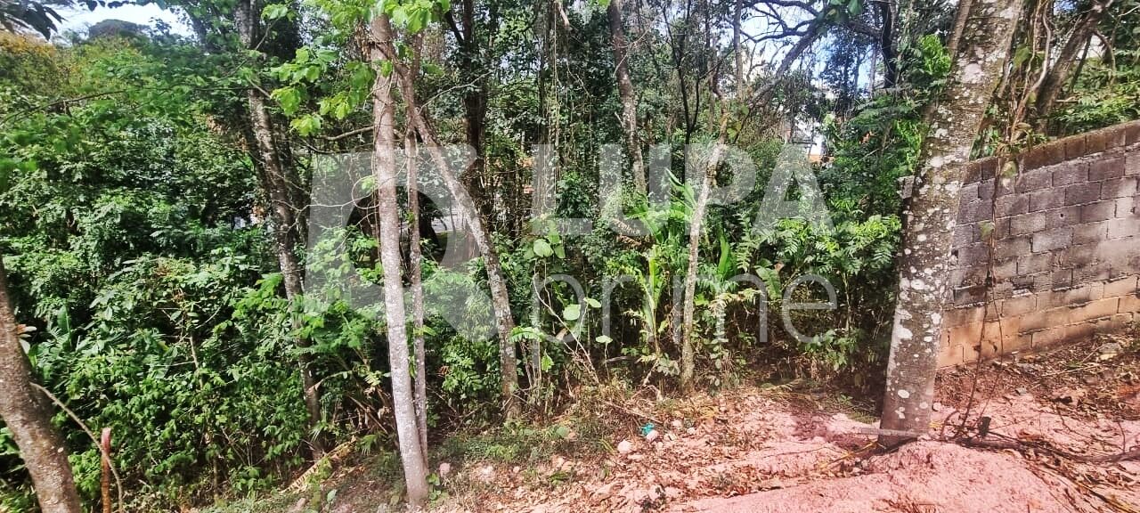 Terreno, 9825 m² - Foto 7