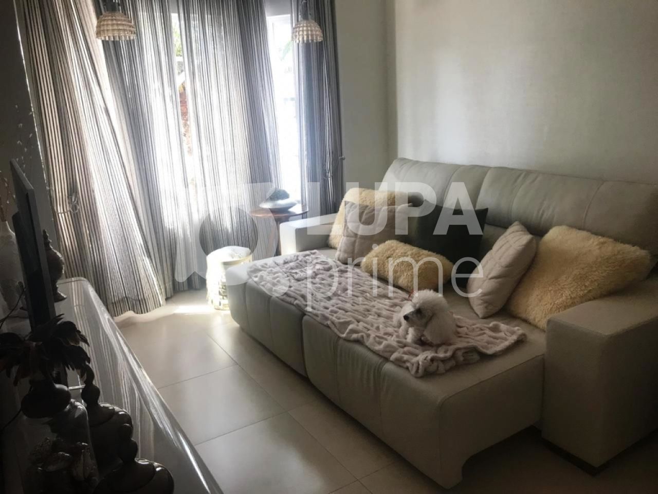 Casa, 4 quartos, 350 m² - Foto 3