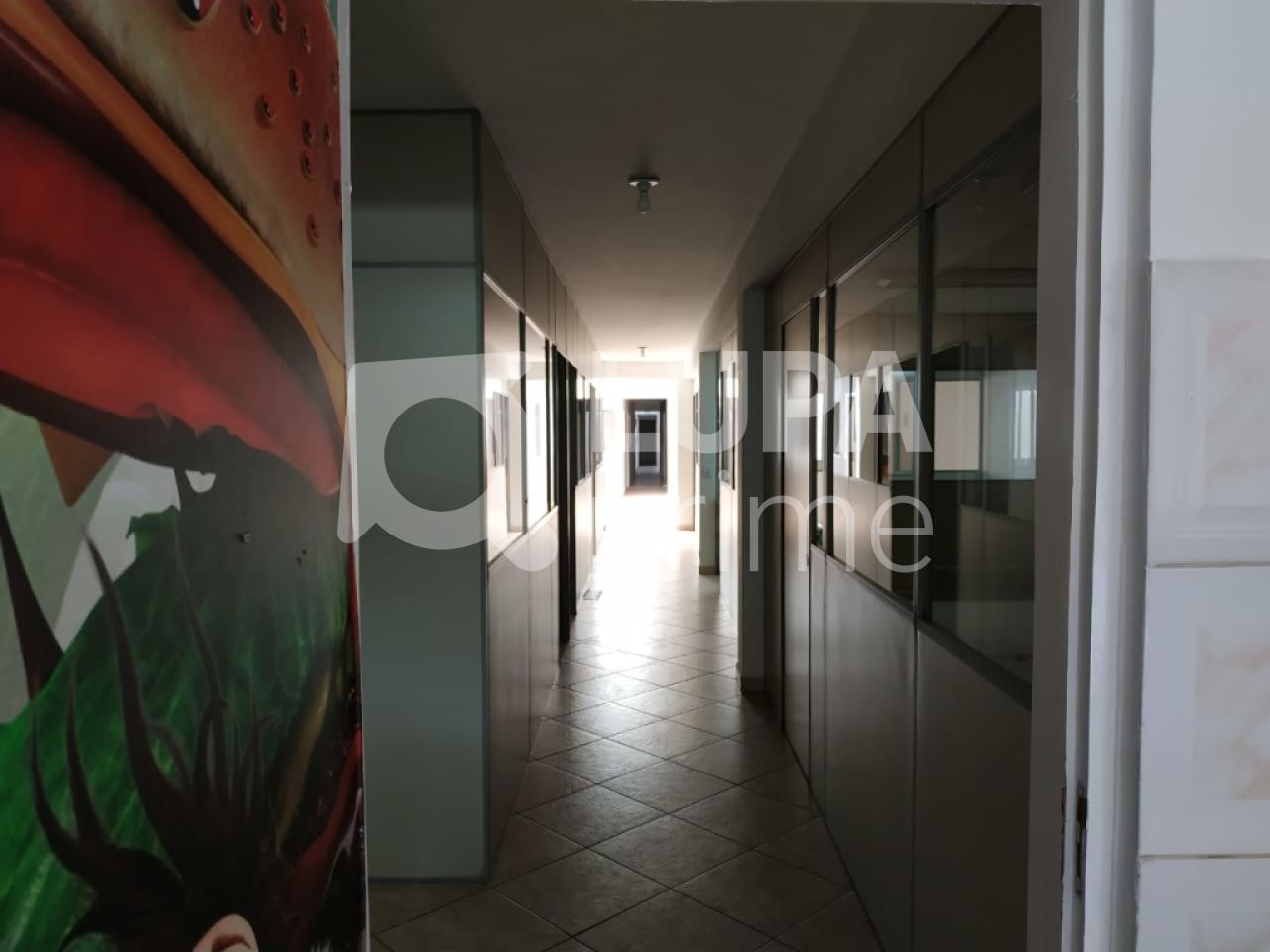 predio-locacao-sao-paulo-tucuruvi-3vagas-300m2-LS22048