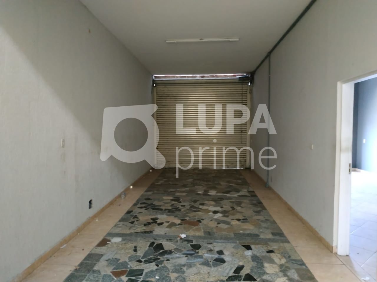 predio-locacao-sao-paulo-tucuruvi-3vagas-300m2-LS22048