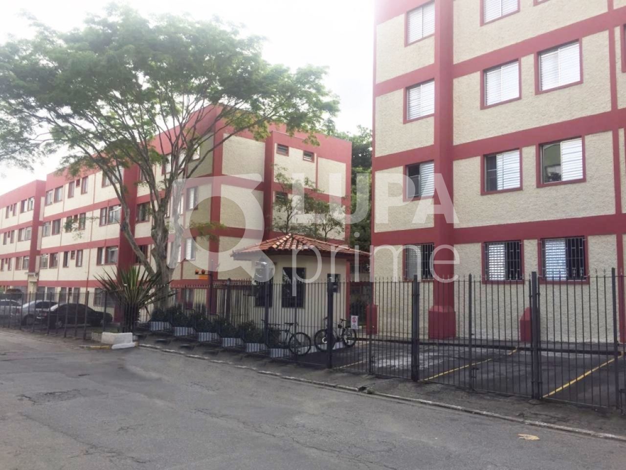 apartamento-venda-sao-paulo-vila-constanca-3dormitorios-1vaga-80m2-LS22121