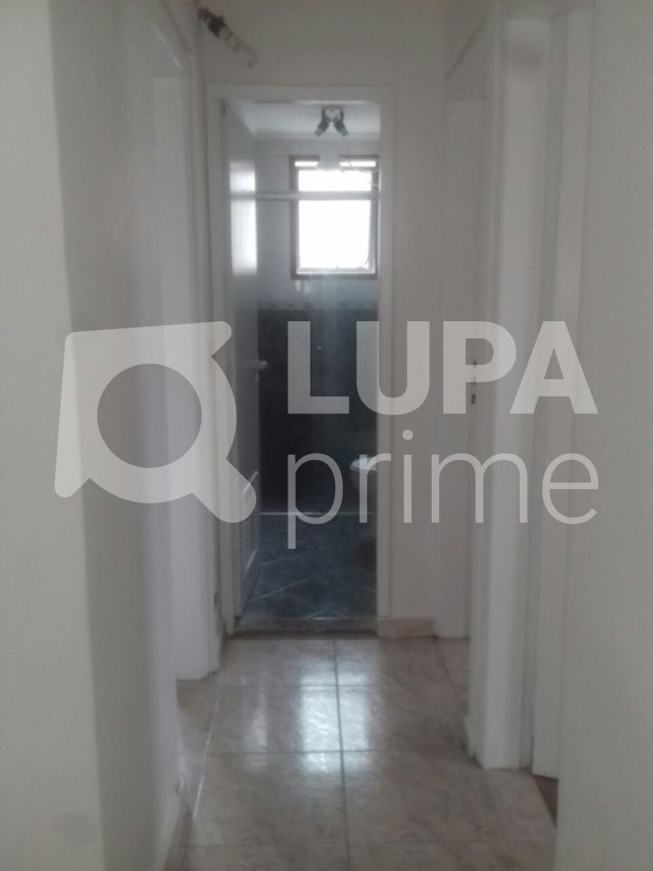 apartamento-venda-sao-paulo-vila-santos-3dormitorios-1vaga-65m2-LS22437