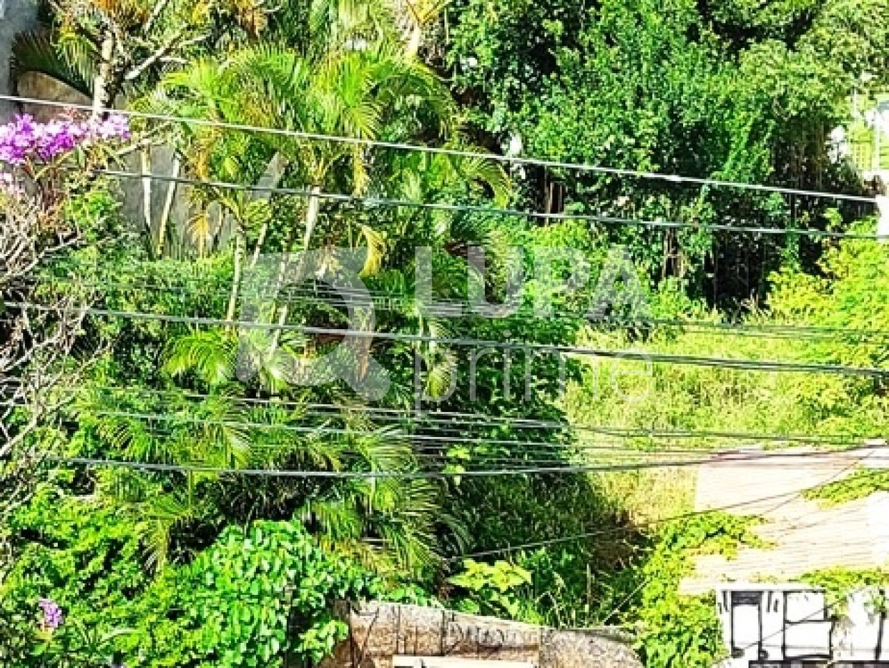 terreno-venda-sao-paulo-santa-teresinha-LS22454