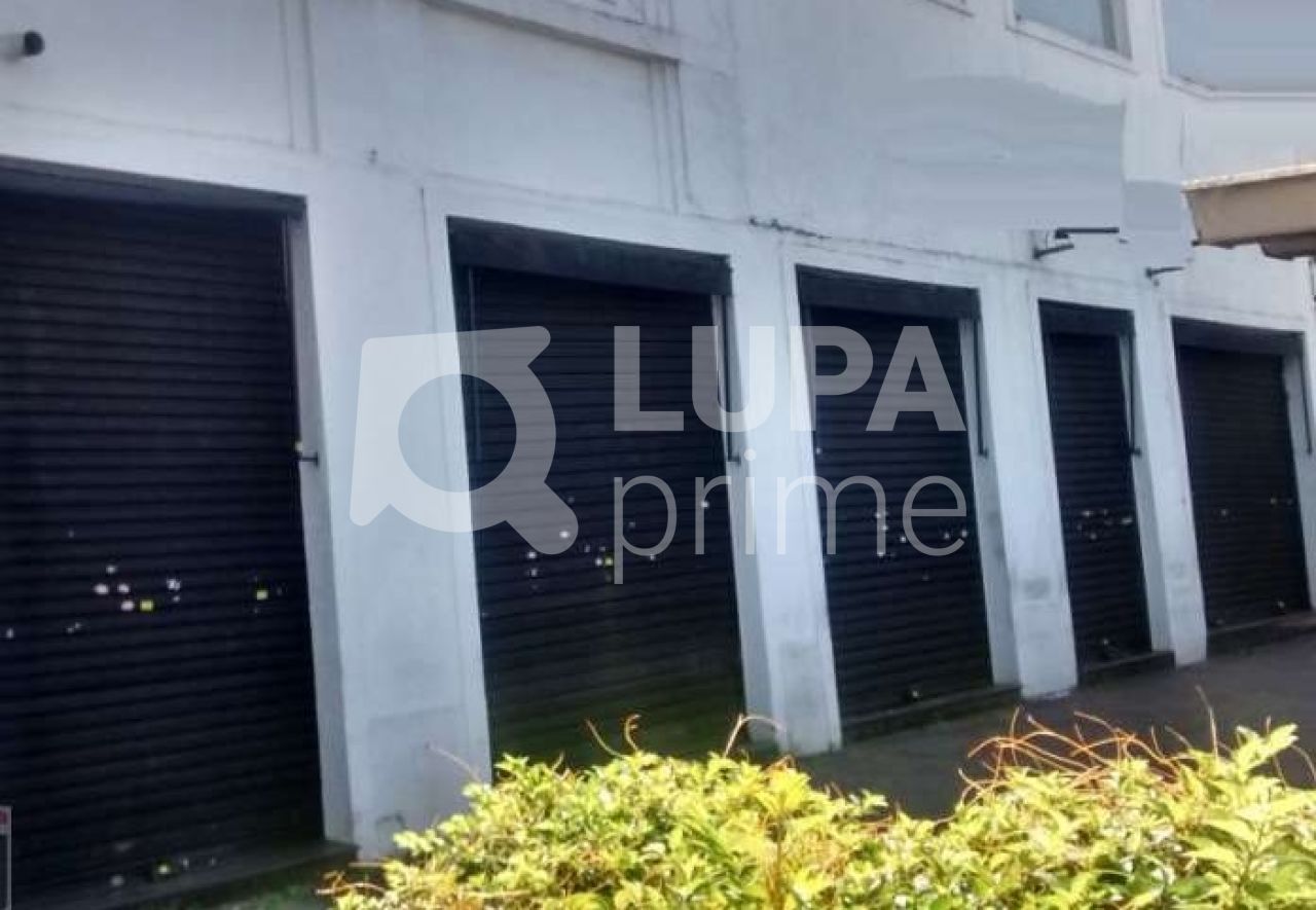 predio-locacao-sao-paulo-santana-5200m2-LS22813