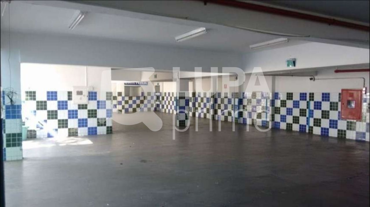 predio-venda-sao-paulo-santana-1533m2-LS22851