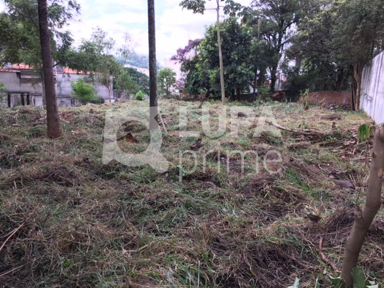 terreno-venda-sao-paulo-tremembe-LS22853