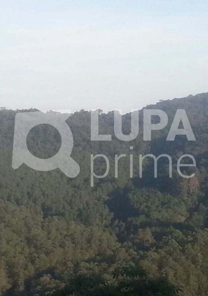 casa-terrea-venda-sao-paulo-santa-ines-3dormitorios-1suite-4vagas-110m2-LS22986