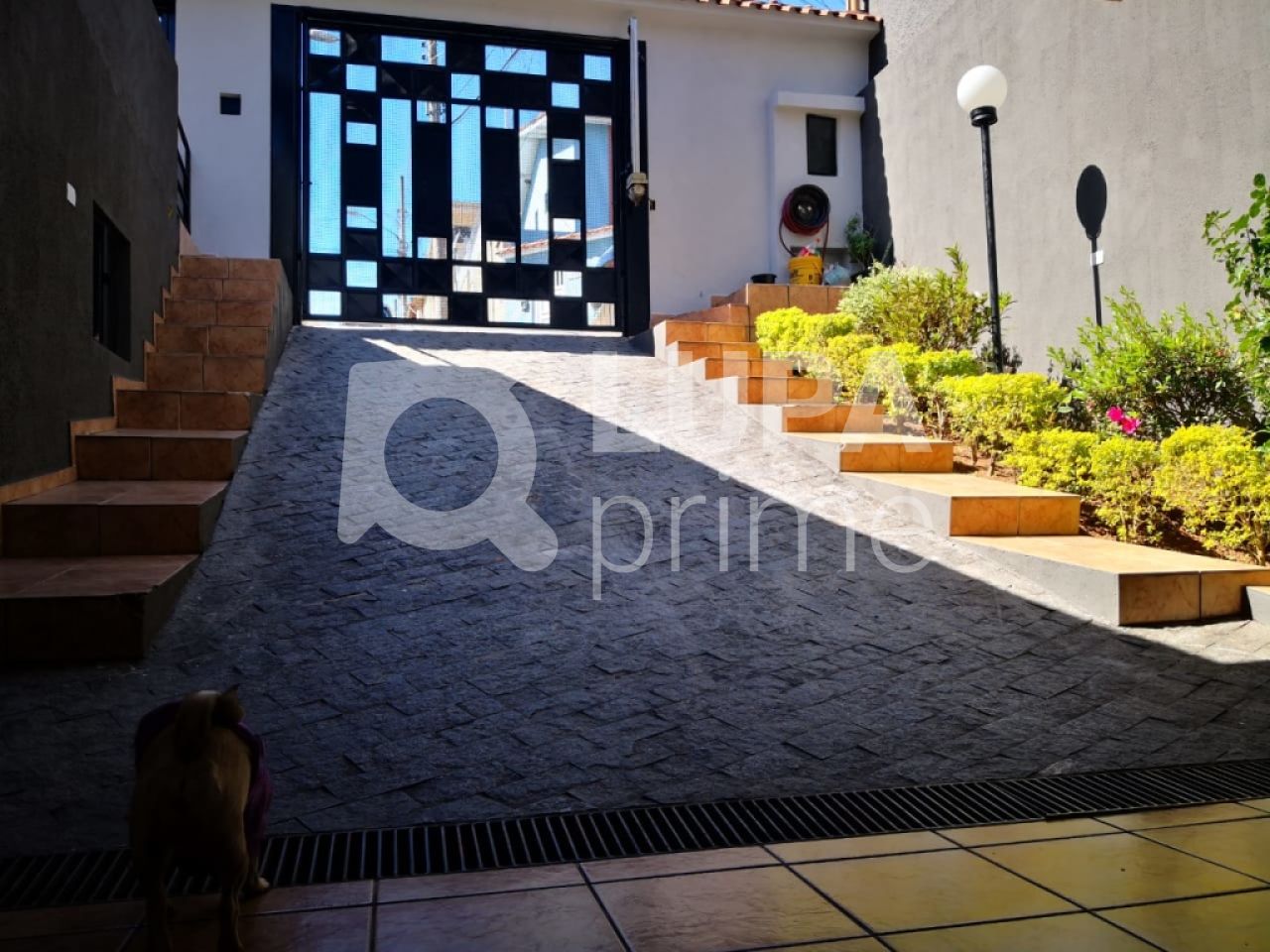 sobrado-venda-sao-paulo-vila-amalia-3dormitorios-3suites-5vagas-261m2-LS23201