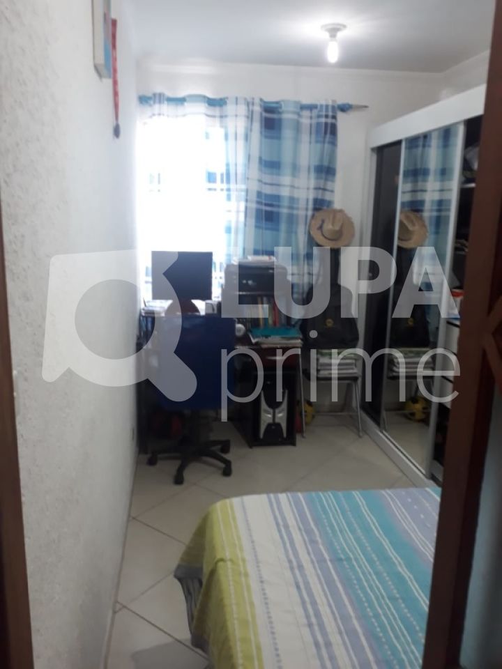 apartamento-venda-sao-paulo-vila-constanca-3dormitorios-1vaga-65m2-LS23588