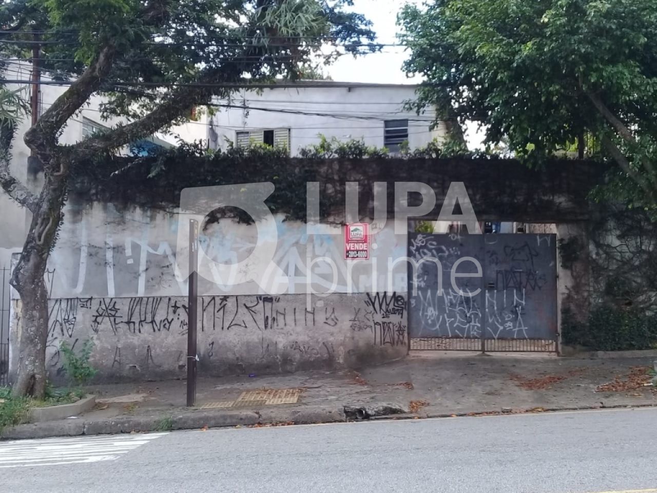 terreno-venda-sao-paulo-parque-mandaqui-LS23763