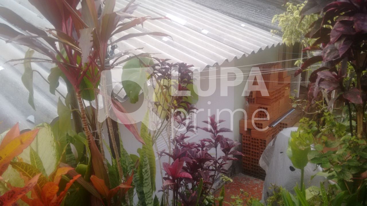 casa-terrea-venda-sao-paulo-vila-ester-17dormitorios-3vagas-400m2-LS23765