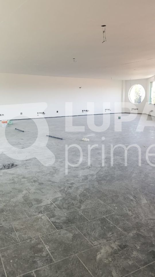 predio-locacao-sao-paulo-tucuruvi-12vagas-873m2-LS23861