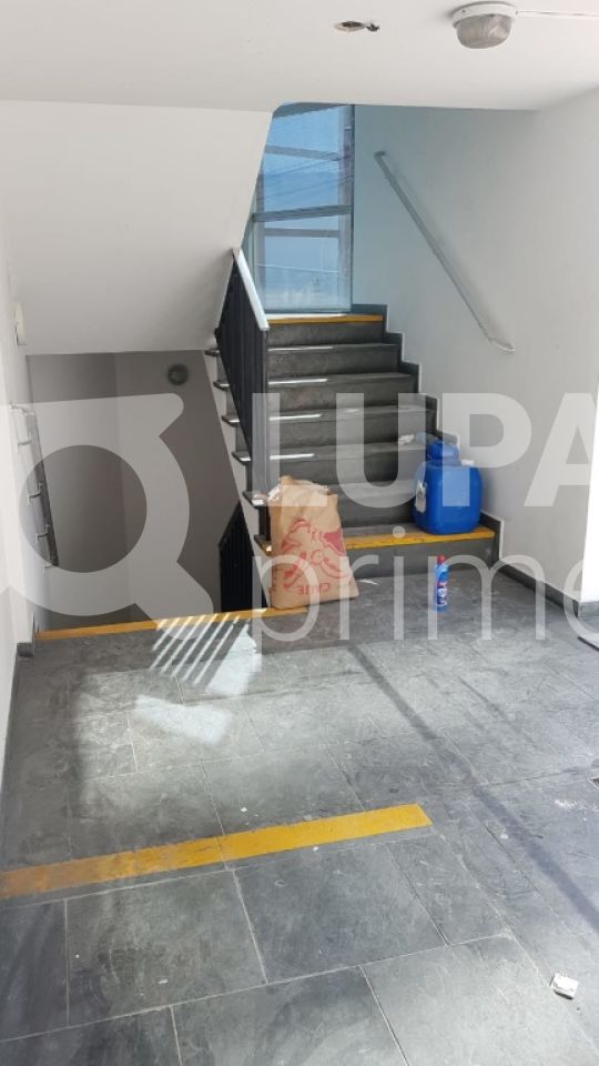 predio-locacao-sao-paulo-tucuruvi-12vagas-873m2-LS23861