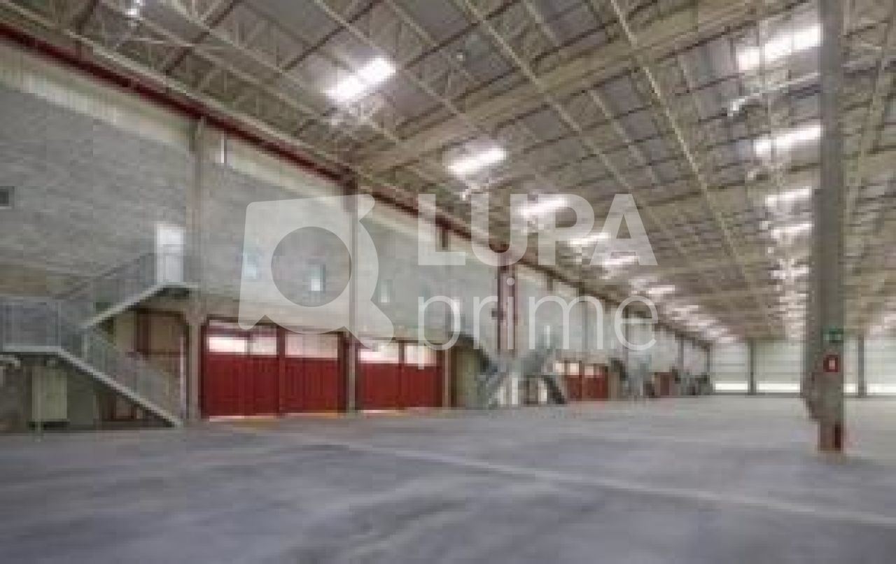 Depósito-Galpão, 1478 m² - Foto 3