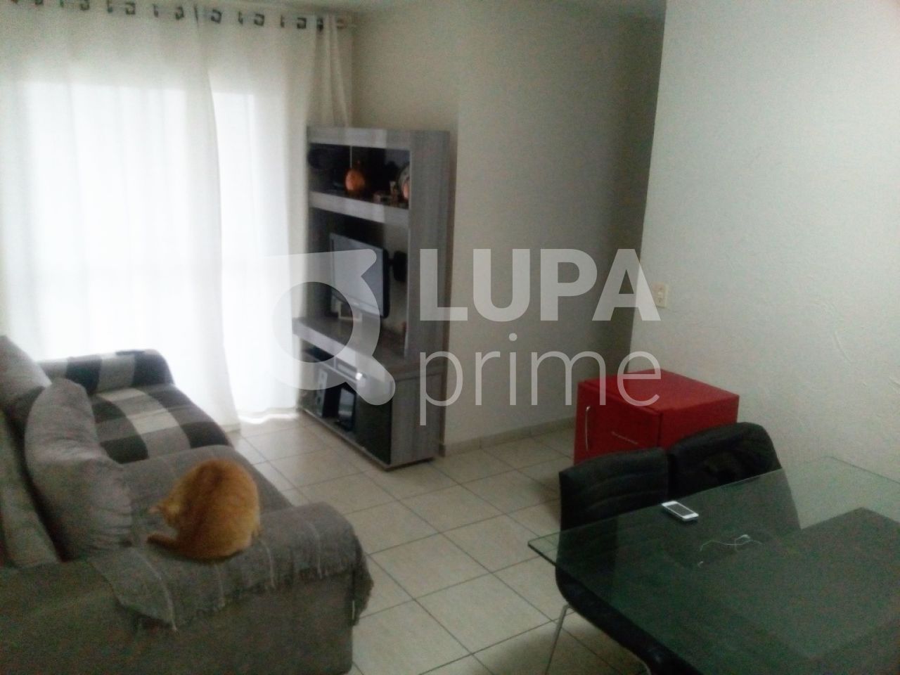 apartamento-venda-sao-paulo-limao-3dormitorios-1suite-1vaga-66m2-LS24425