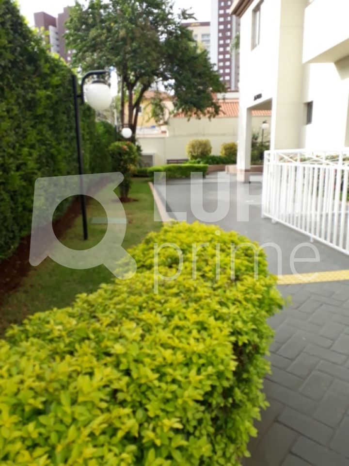 apartamento-venda-sao-paulo-carandiru-2dormitorios-1vaga-49m2-LS24553