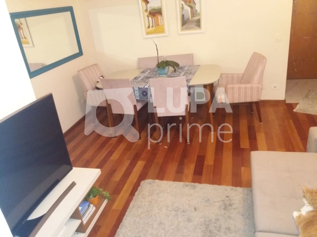apartamento-venda-sao-paulo-santana-3dormitorios-1suite-2vagas-85m2-LS24687