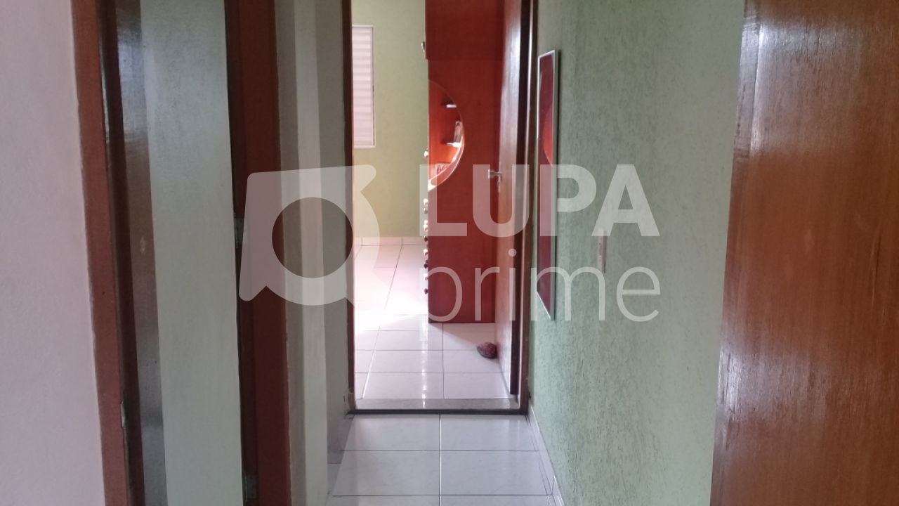 sobrado-venda-sao-paulo-vila-amalia-2dormitorios-3vagas-202m2-LS24707