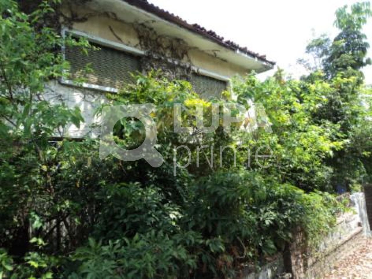 sobrado-venda-sao-paulo-santana-2dormitorios-2vagas-250m2-LS2476