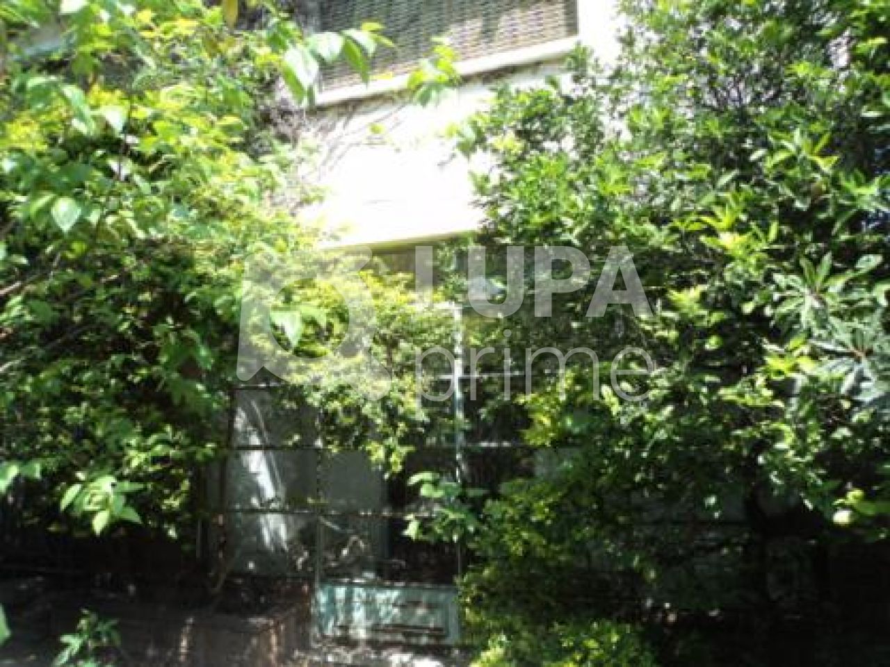 sobrado-venda-sao-paulo-santana-2dormitorios-2vagas-250m2-LS2476