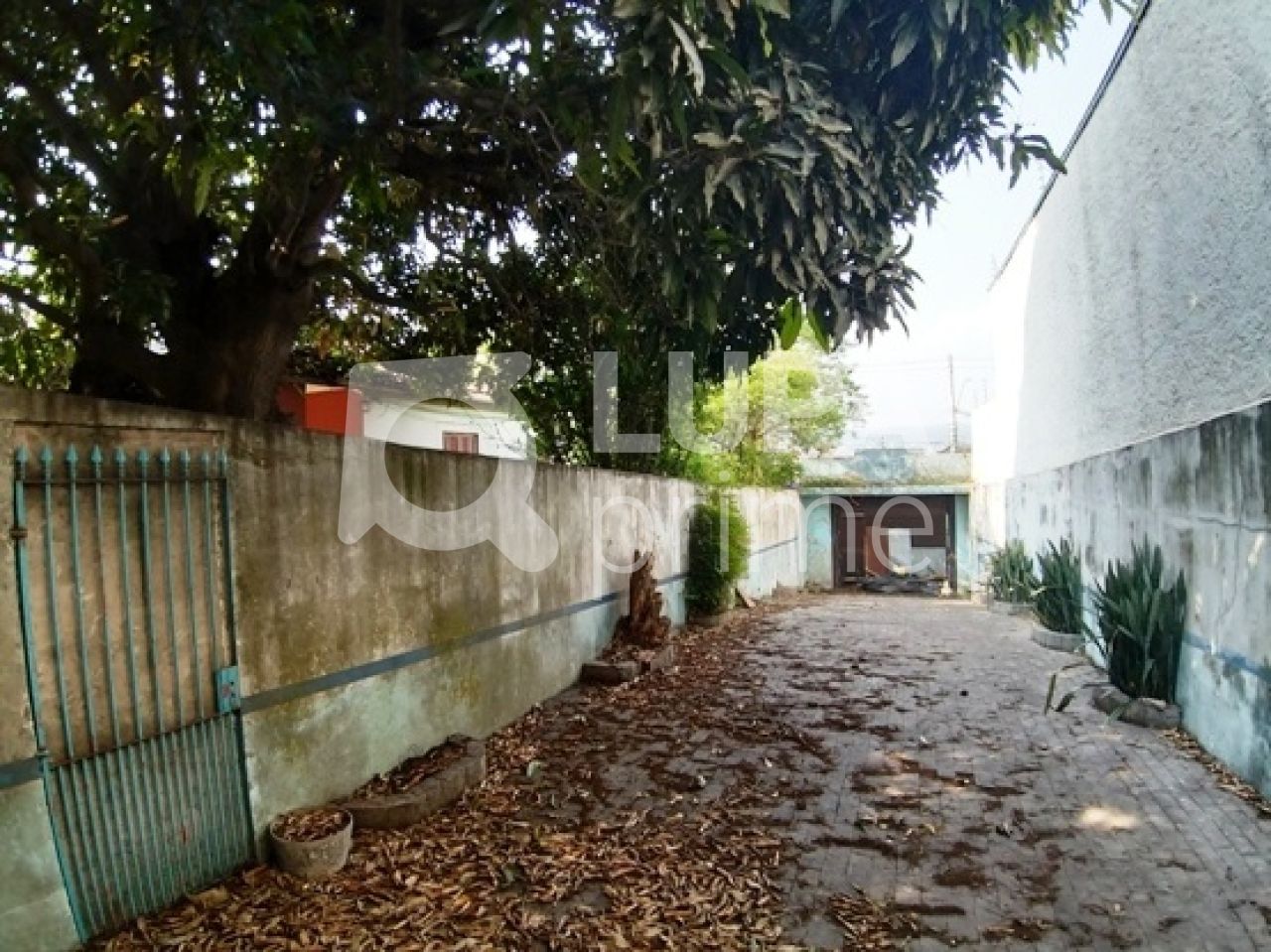 terreno-venda-sao-paulo-vila-nova-cachoeirinha-1362m2-LS25178