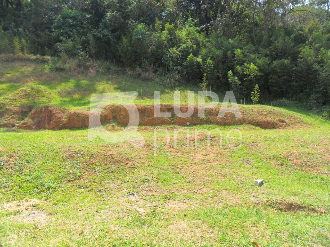 terreno-venda-sao-paulo-horto-florestal-LS25645