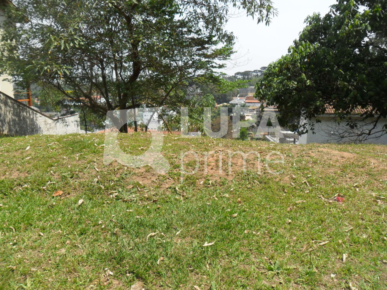 terreno-venda-sao-paulo-horto-florestal-290m2-LS25647