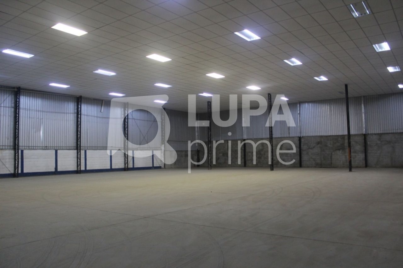 Depósito-Galpão, 2800 m² - Foto 4
