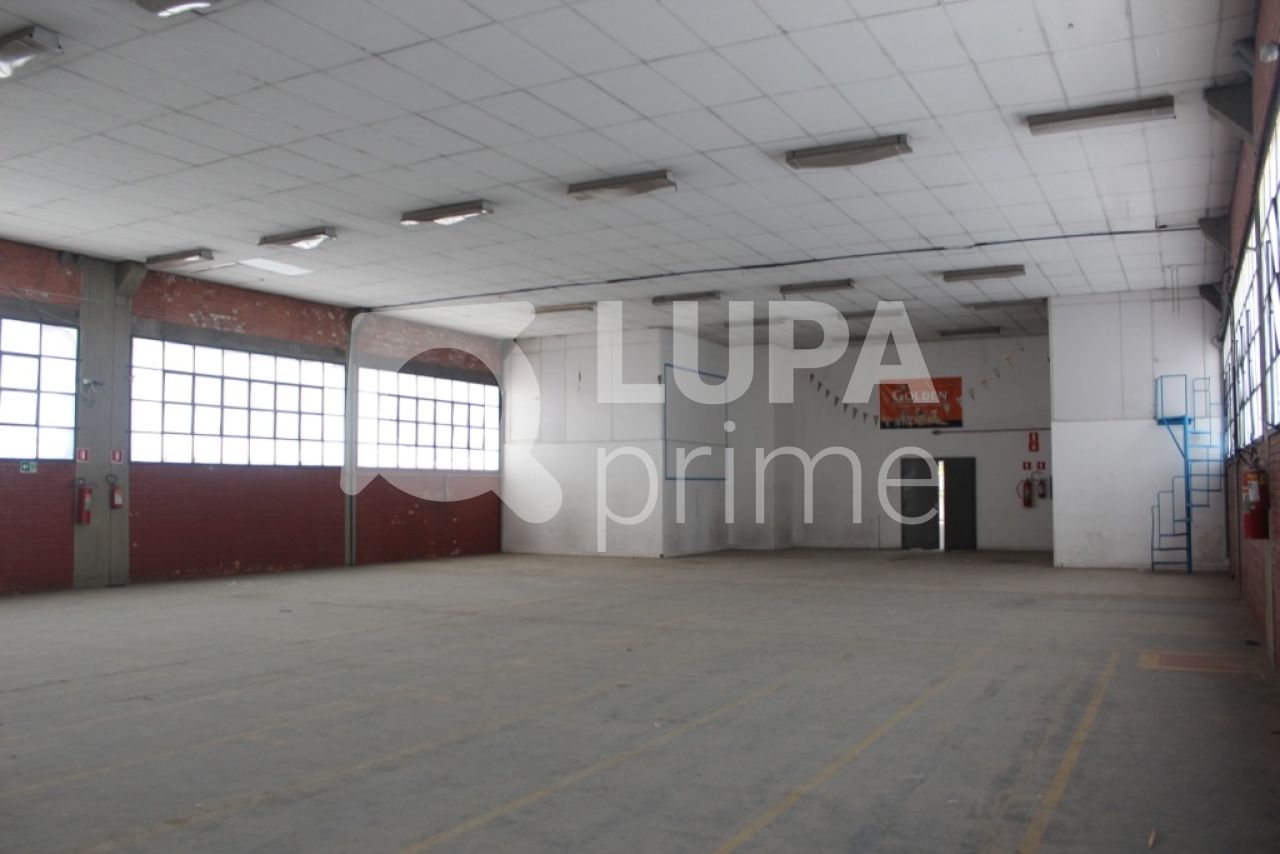 Depósito-Galpão, 2800 m² - Foto 11