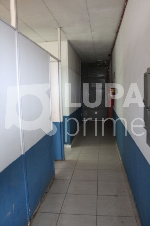 Depósito-Galpão, 2800 m² - Foto 13